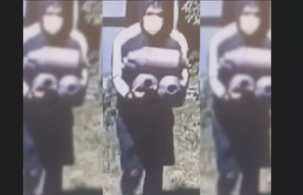 EHT Police Hope Someone Recognizes These Catalytic Crooks [VIDEO]