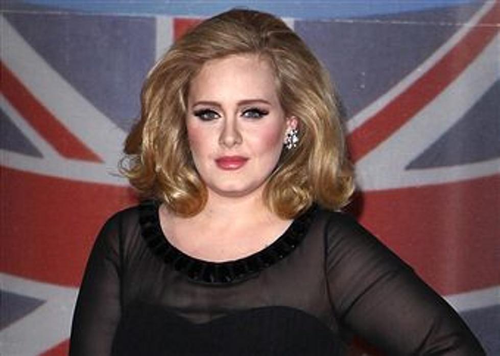 Adele Gets Mashed Up With 80s One-Hit Wonder [VIDEO]