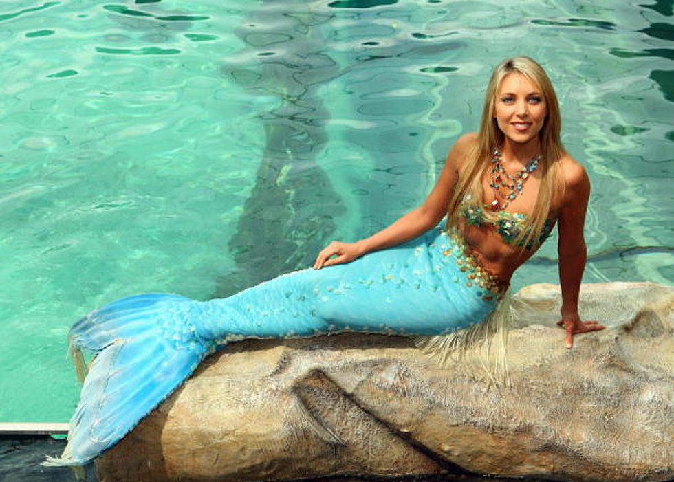 U.S. Government Issues Statement on Mermaid Body [POLL]