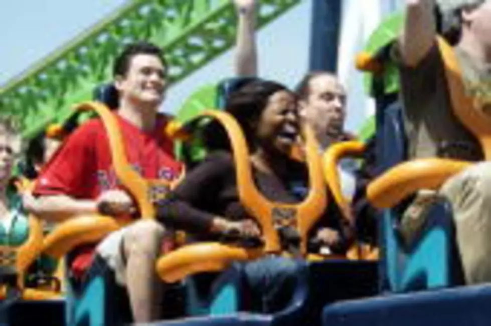 Bird Crashes Into the Face of a Kingda Ka Rider