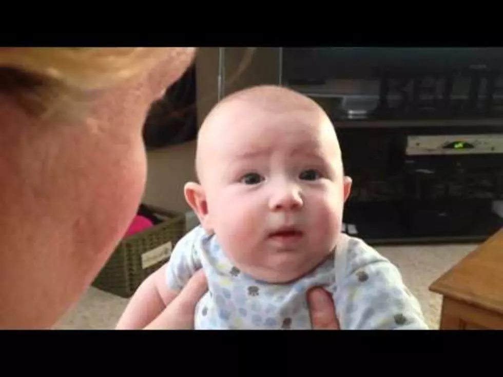 This Baby Really Hates Cats! [VIDEO]