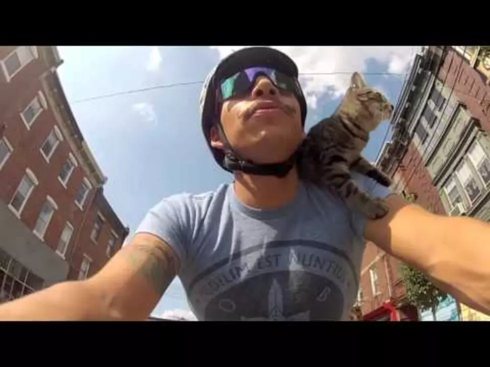 Amazing Cat Bikes Around Philly on Owners Shoulders [VIDEO]