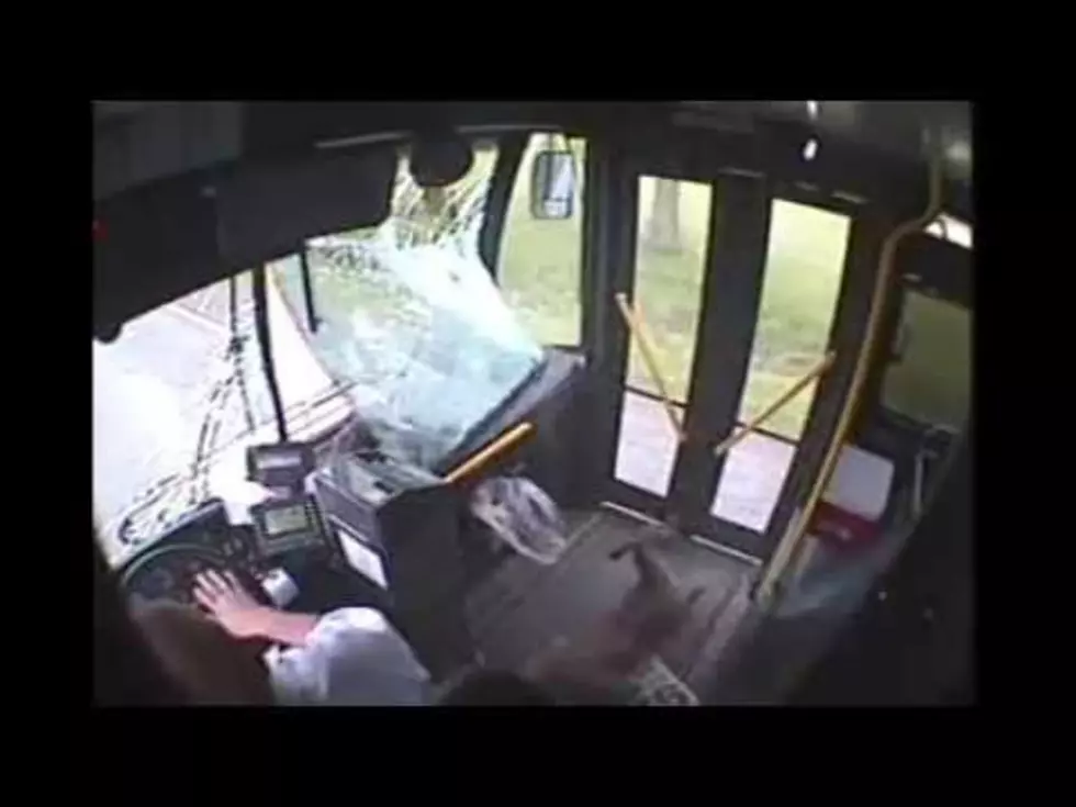 Have You Ever Rode On a Bus And Seen This? [VIDEO]