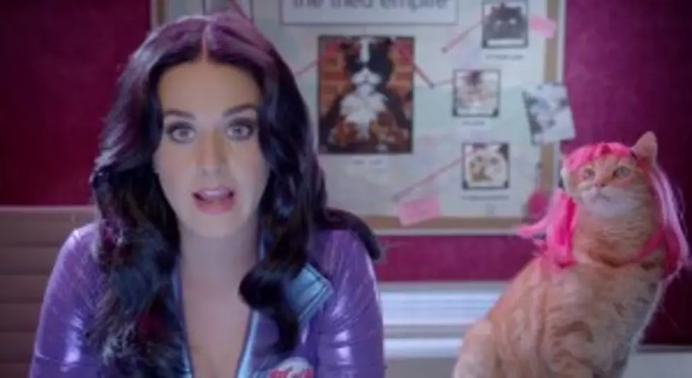 Why is Katy Perry Hanging Out with Wigged Cats? [VIDEO]