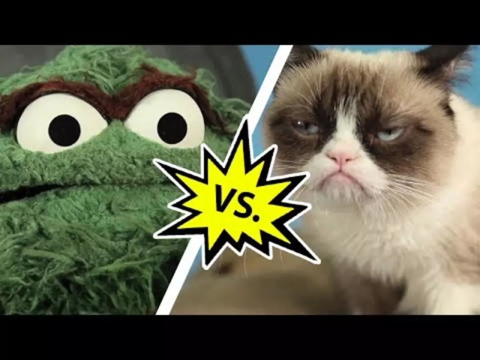 Oscar the Grouch Takes on Grumpy Cat [VIDEO]