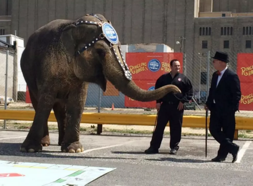 Atlantic City Mayor Defeats Elephant at Monopoly