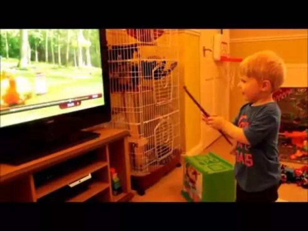 Adorable Toddler Thinks He Can Control the TV With His Magic Wand [VIDEO]