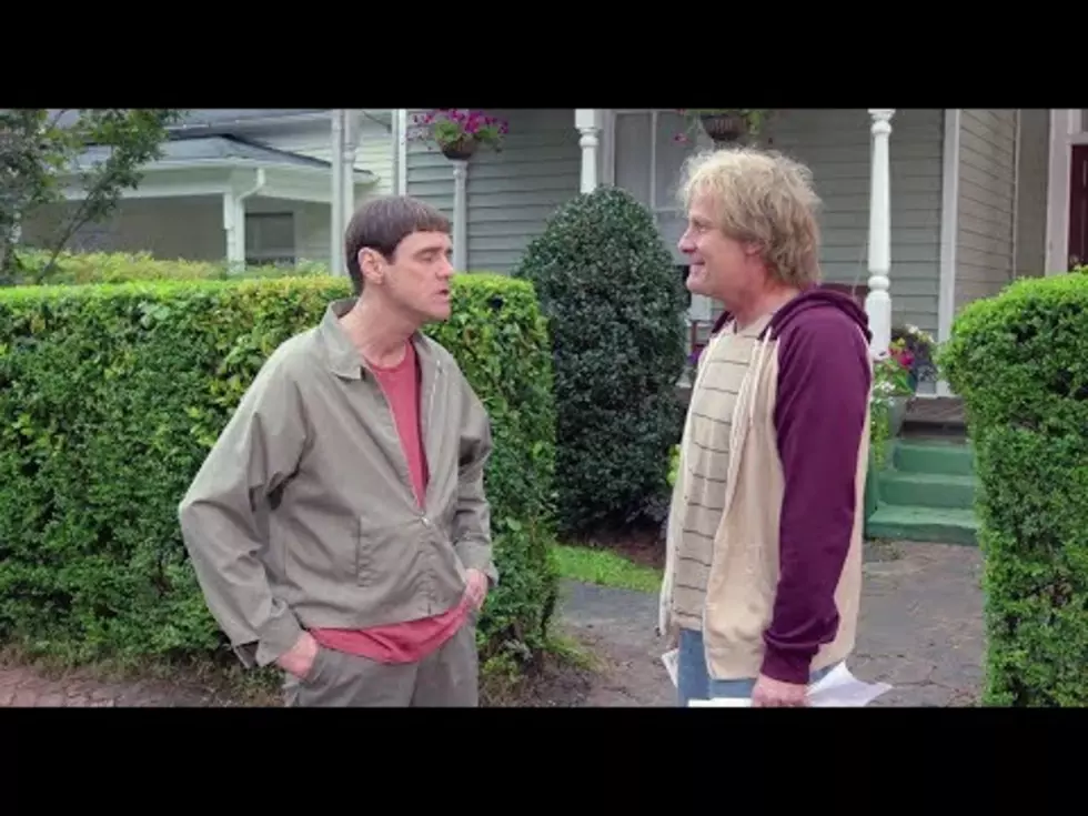 Watch the Trailer for Dumb and Dumber To [VIDEO]