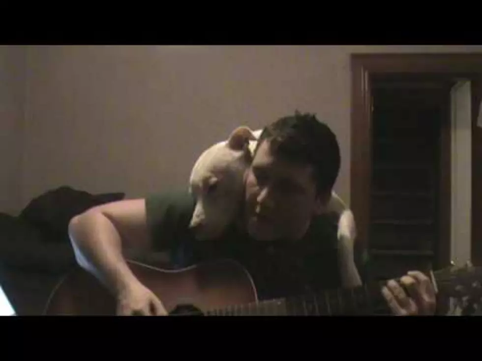 Affectionate Dog Loves it When His Owner Sings to Him [VIDEO]