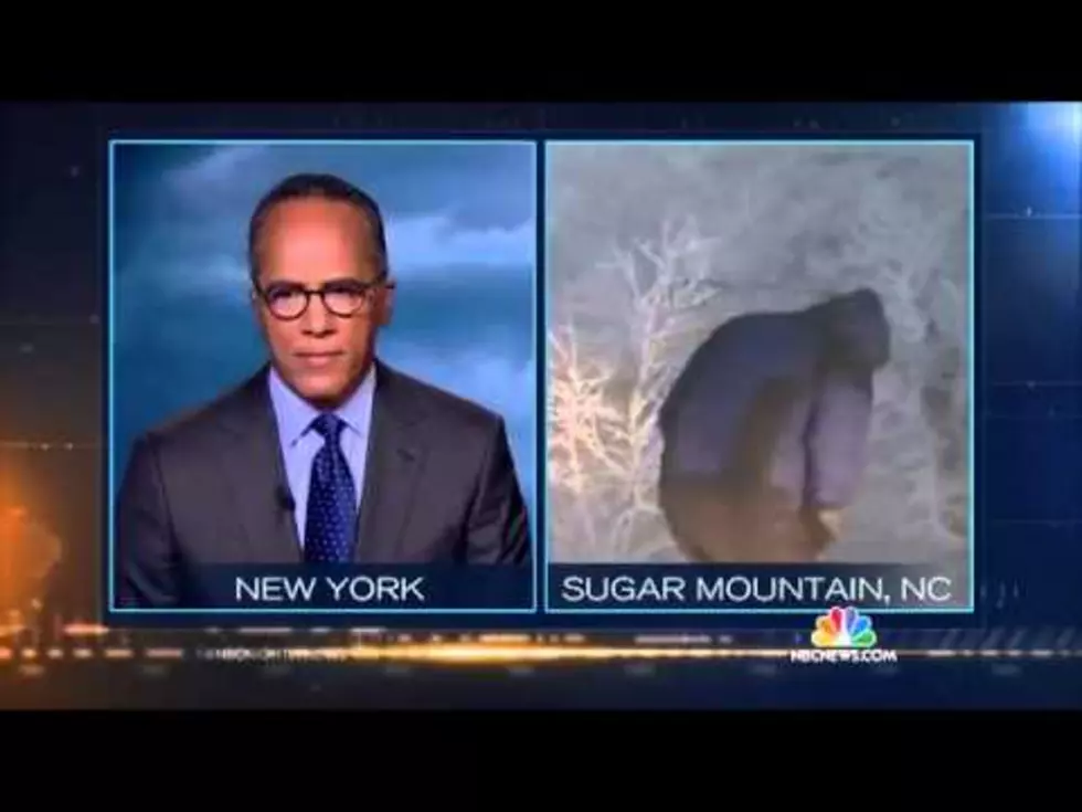 Did This NBC Reporter Get Caught Relieving Himself? [VIDEO]