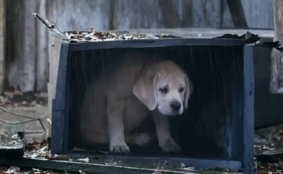 New Budweiser Super Bowl Commerical Will Make You Cry [VIDEO]