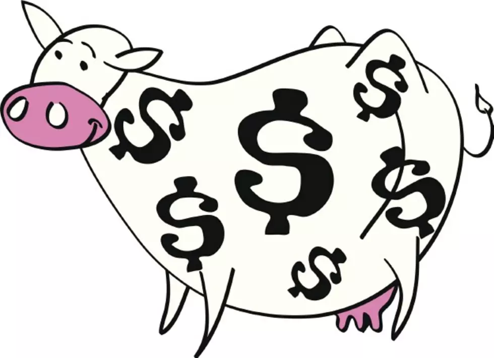 The SoJO Cash Cow is Back!
