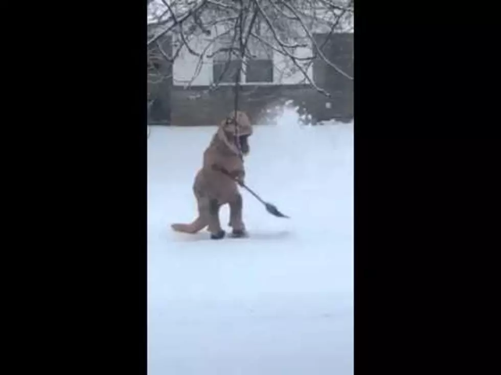 Man Shovels Snow Dressed as a Dinosaur [VIDEO]