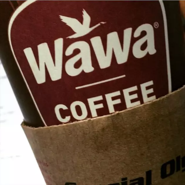 Favorite Things About Wawa