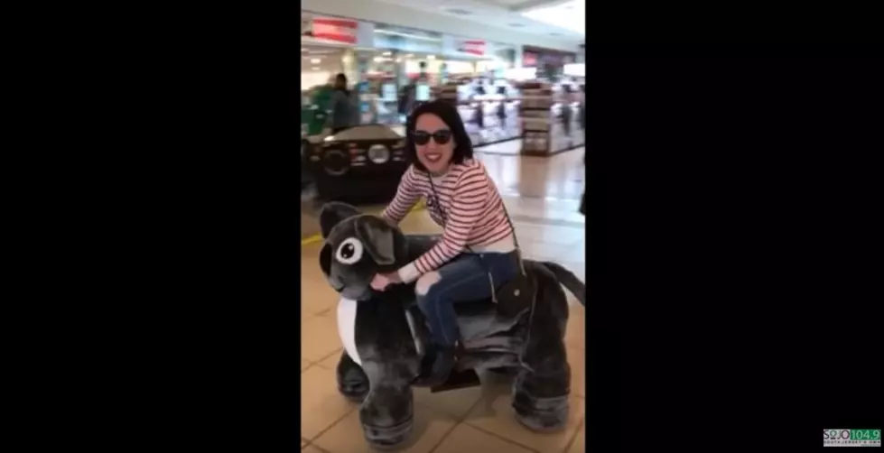 We Found Motorized Animal Scooters at Hamilton Mall — And We’re Obsessed!