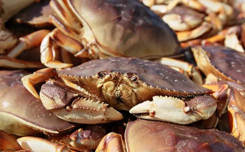 Great Places in South Jersey to Eat Crabs, According to You