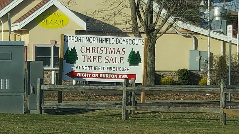 Northfield Boy Scouts Selling Christmas Trees, Right?