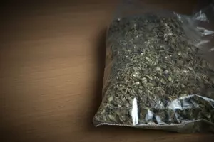 Millville Third Grader Found with Marijuana in His School Bag