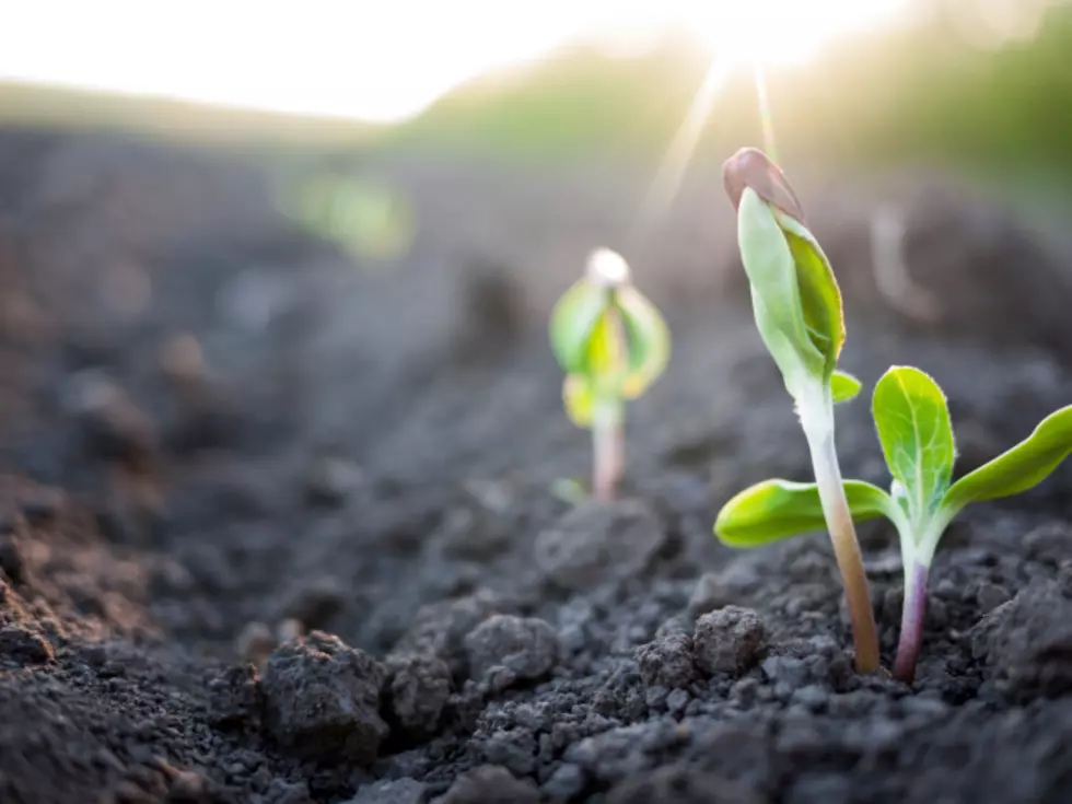 South Jersey Schools Receive Prizes for Environmental Programs on Earth Day