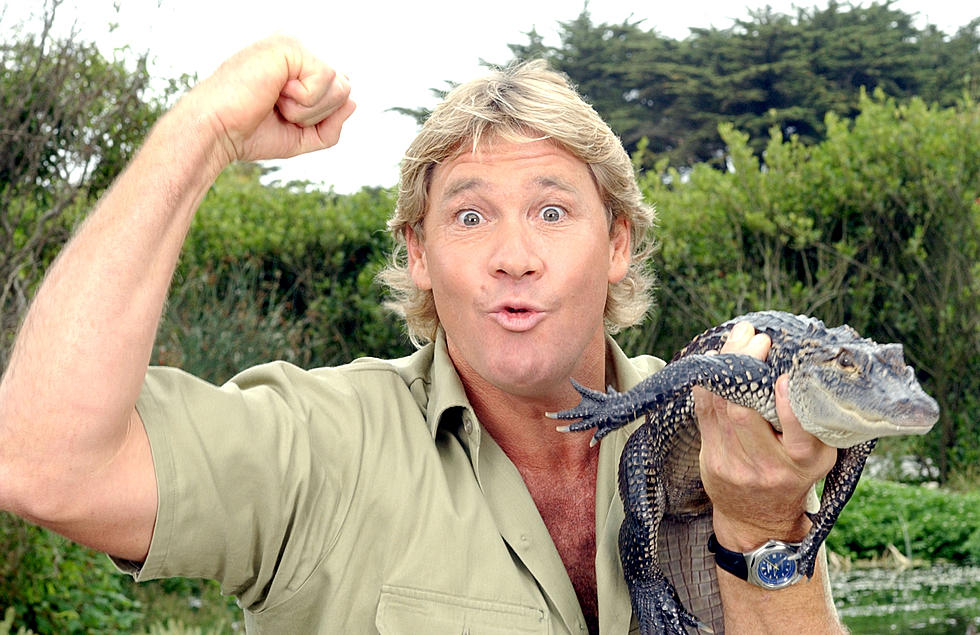 PETA Disrespected Steve Irwin and the Internet is Not Having It