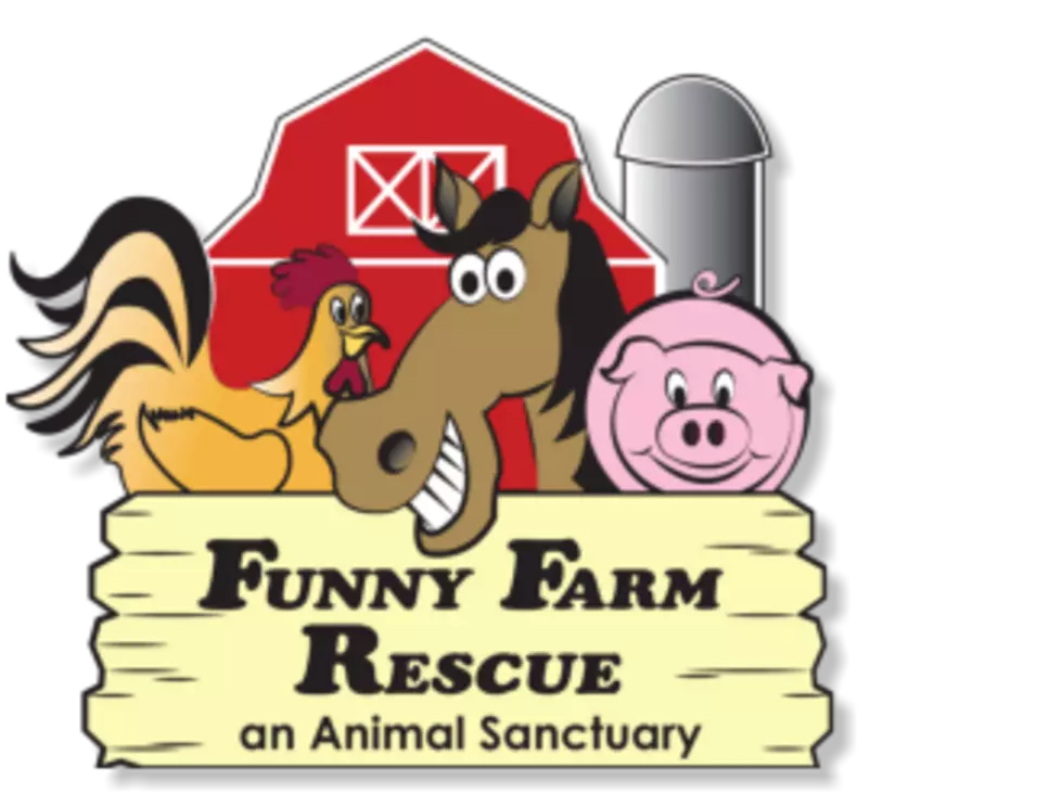 Funny Farm Rescue’s Fall Festival