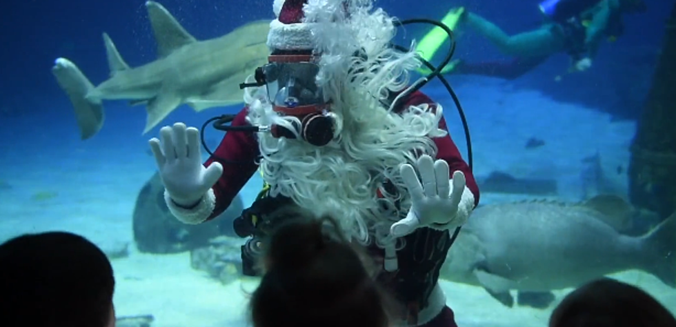 Santa Claus Goes SCUBA Diving in South Jersey [VIDEO]