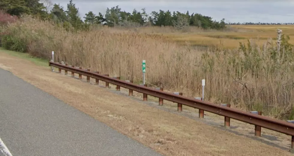 Man Dies After Being Hit by Car Along Garden State Parkway in Cape May County