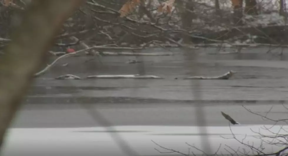 Four Boys Fall Through Frozen Pond in Washington Twp.