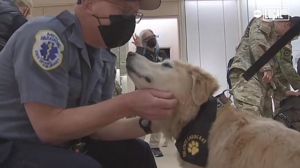 South Jersey COVID Vaccine Workers Get a Visit from Therapy Dogs