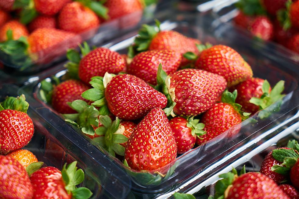 5 Places in South Jersey to Pick Your Own Juicy, Jersey Fresh Strawberries