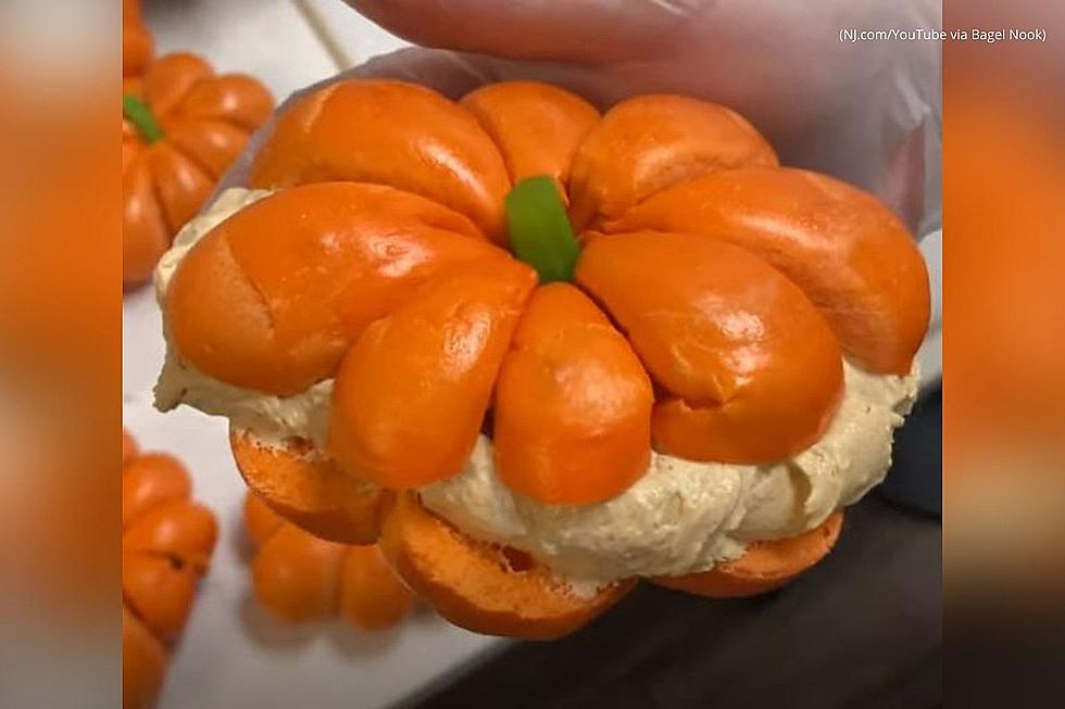 The MOST Pumpkin Bagel New Jersey Has Ever Seen!