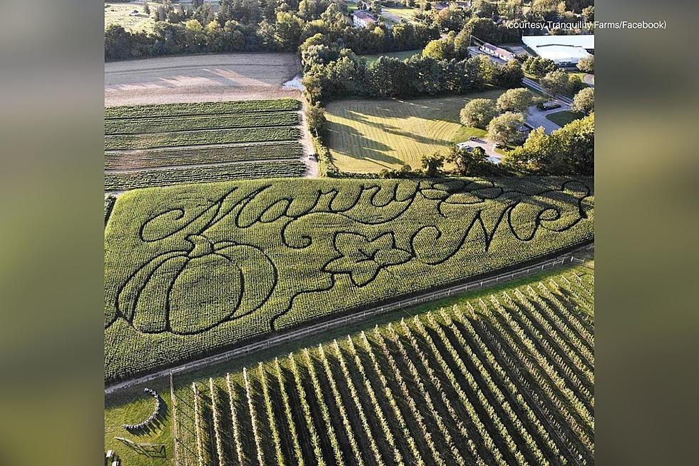 Elaborate New Jersey Marriage Proposal Has All the Fall Feels