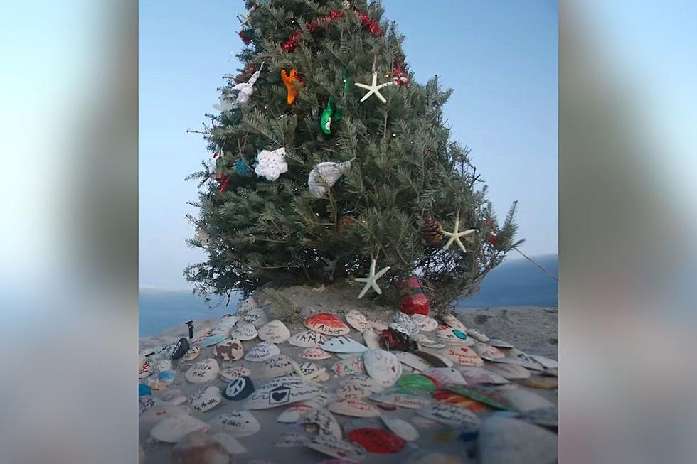 Make a Beachy Holiday Memory with a Visit to This Ocean City NJ Community Christmas Tree