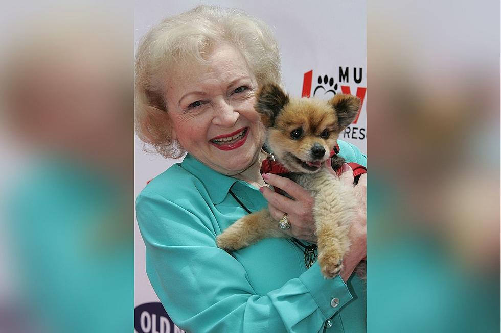 How Taking the Betty White Challenge on January 17th Can Save a South Jersey Shelter Pet