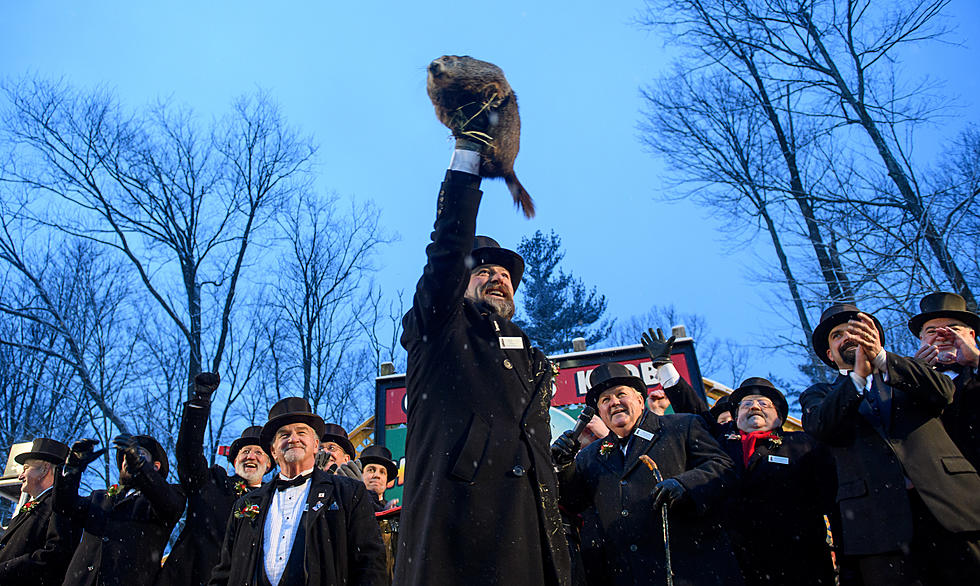 10 South Jersey Towns Perfect to Host Groundhog Day If Given the Chance