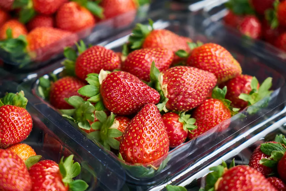 5 Places in South Jersey to Pick Your Own Juicy, Jersey Fresh Strawberries
