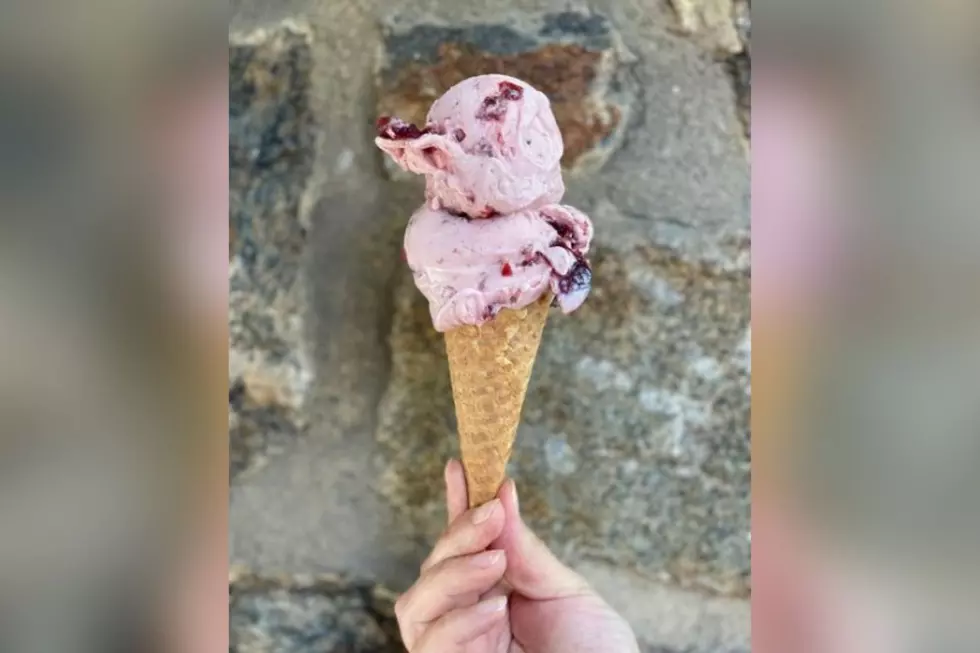 Princeton, NJ Ice Cream Shop Considered One of the Best on Earth