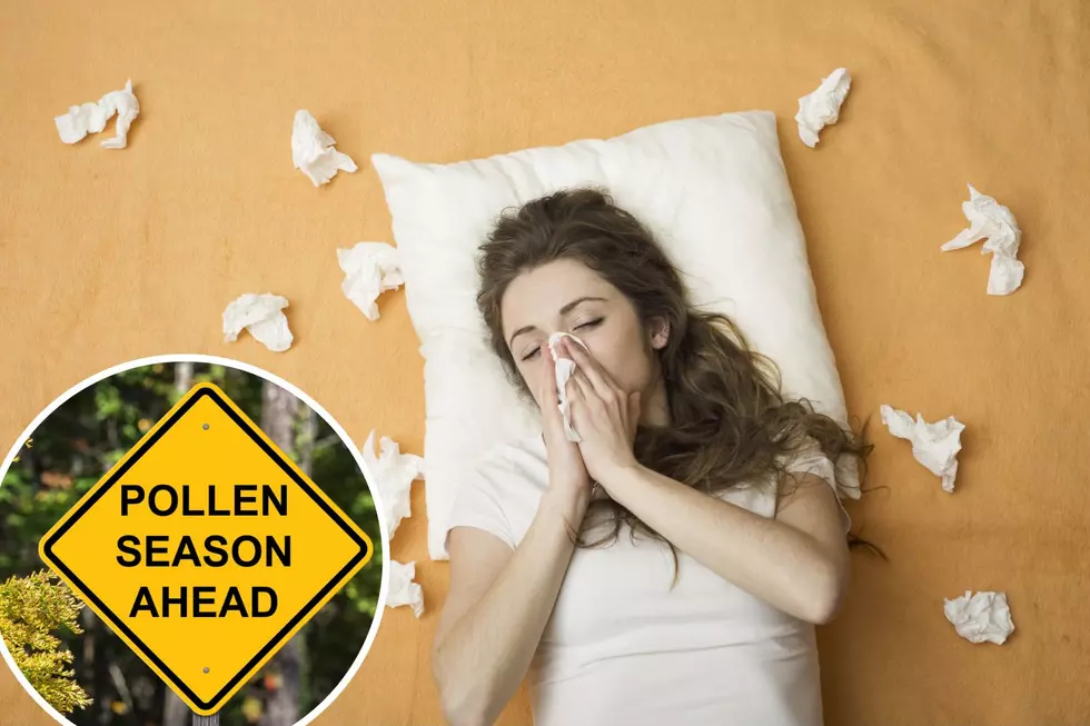 Ragweed to Ruin Fall in New Jersey for Allergy Sufferers