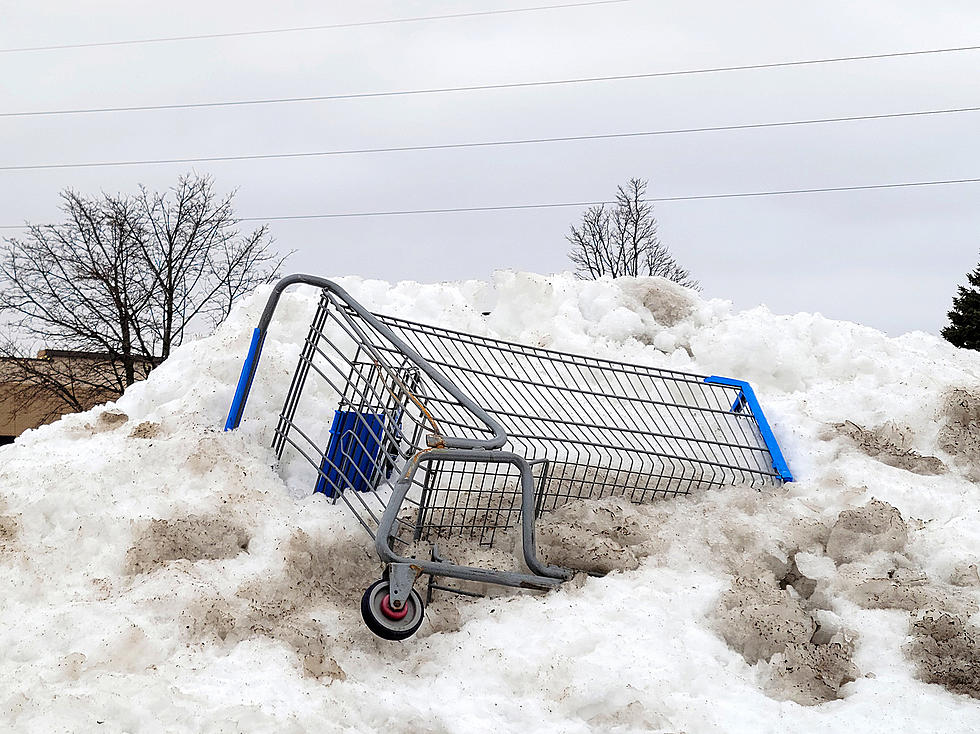 Vineland, NJ Could Start Fining for Abandoned Shopping Carts