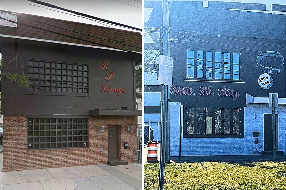Transformation from Swingers Club to Dog Bar Nearly Complete in Atlantic City, NJ