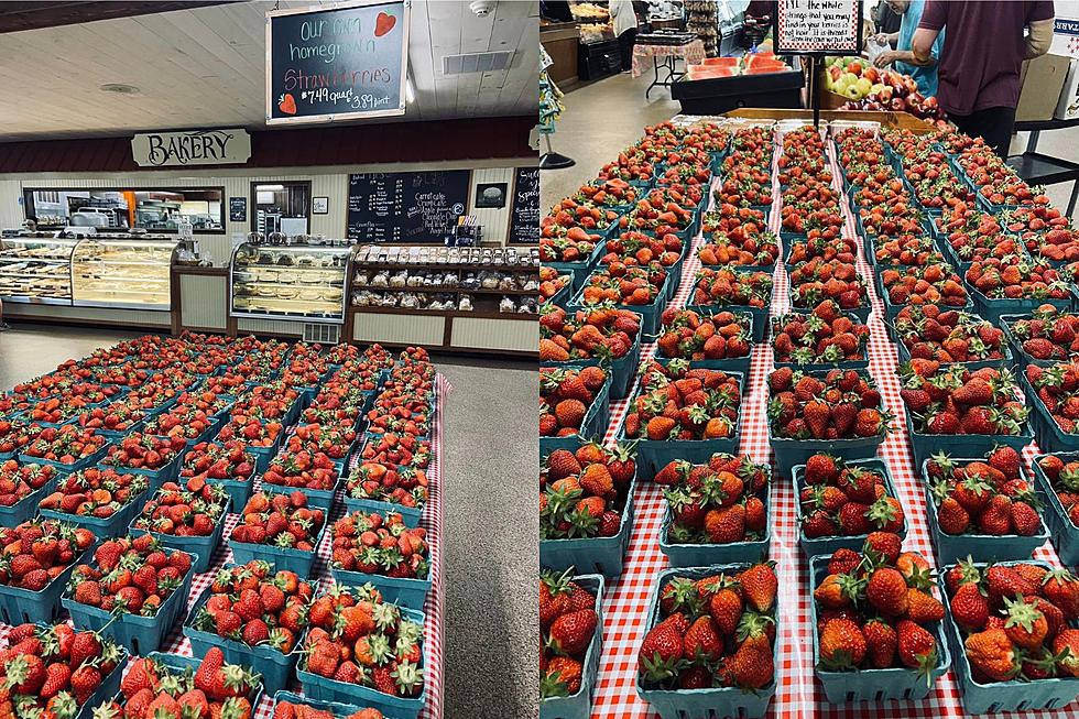 Surprise! Jersey Strawberries Are Available at This Washington Township, NJ Farm Market