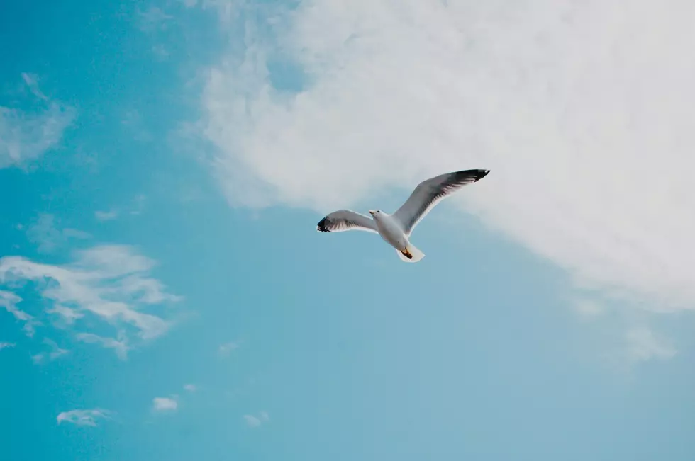 Yukari Harada/Unsplash