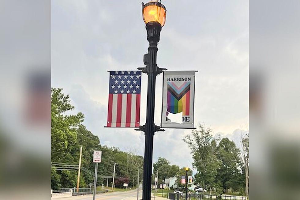Who Vandalized Pride Flags in Mullica Hill, NJ?