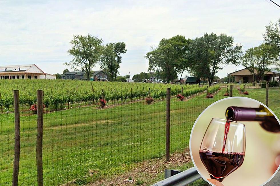 New Voorhees, NJ Winery Maps Out Timeline for Opening