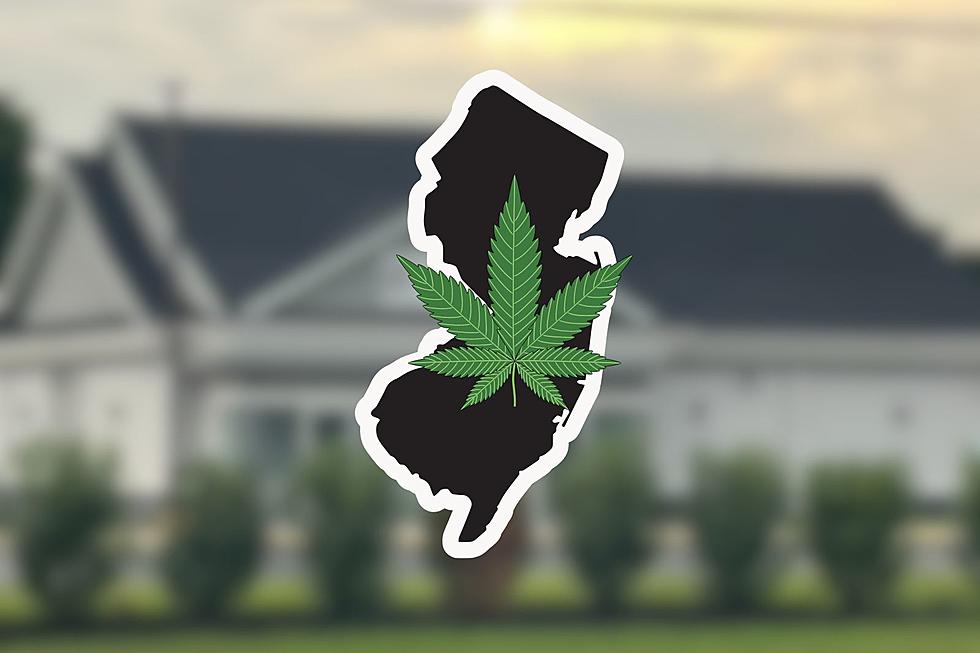 HoneyGrove, Gloucester Twp., NJ’s First Cannabis Store, Opening Soon