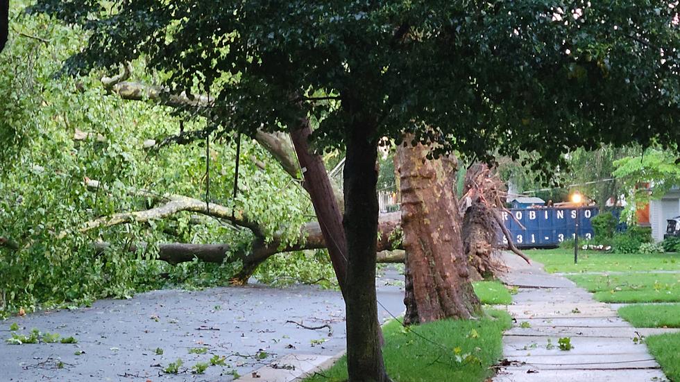 Severe Storm Knocks Down Trees, Takes Out Power in Haddon Township, NJ
