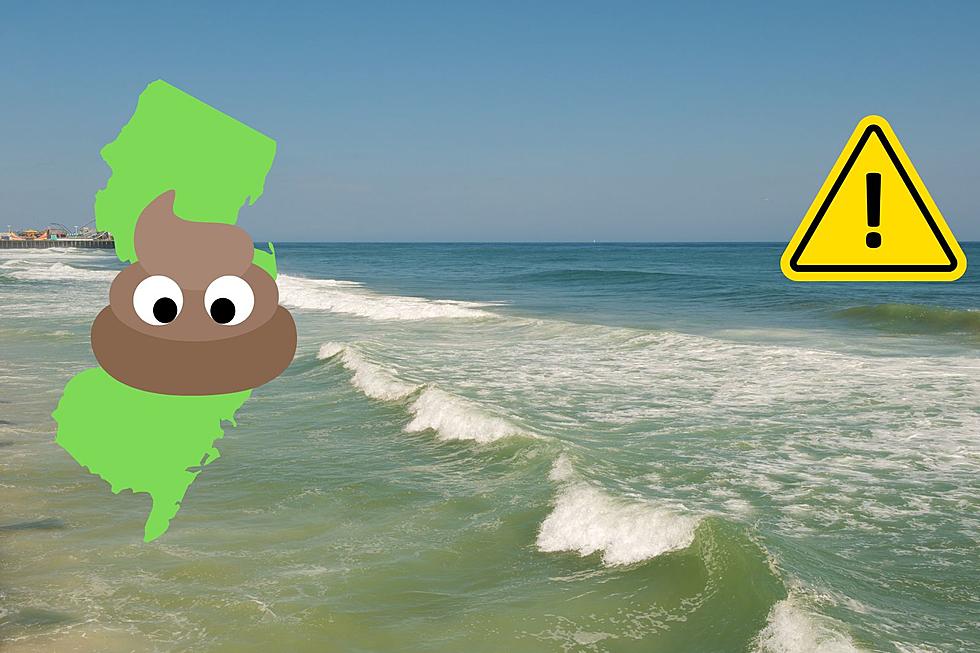 Poop Leads to Swimming Advisories in 3 New Jersey Beach Towns
