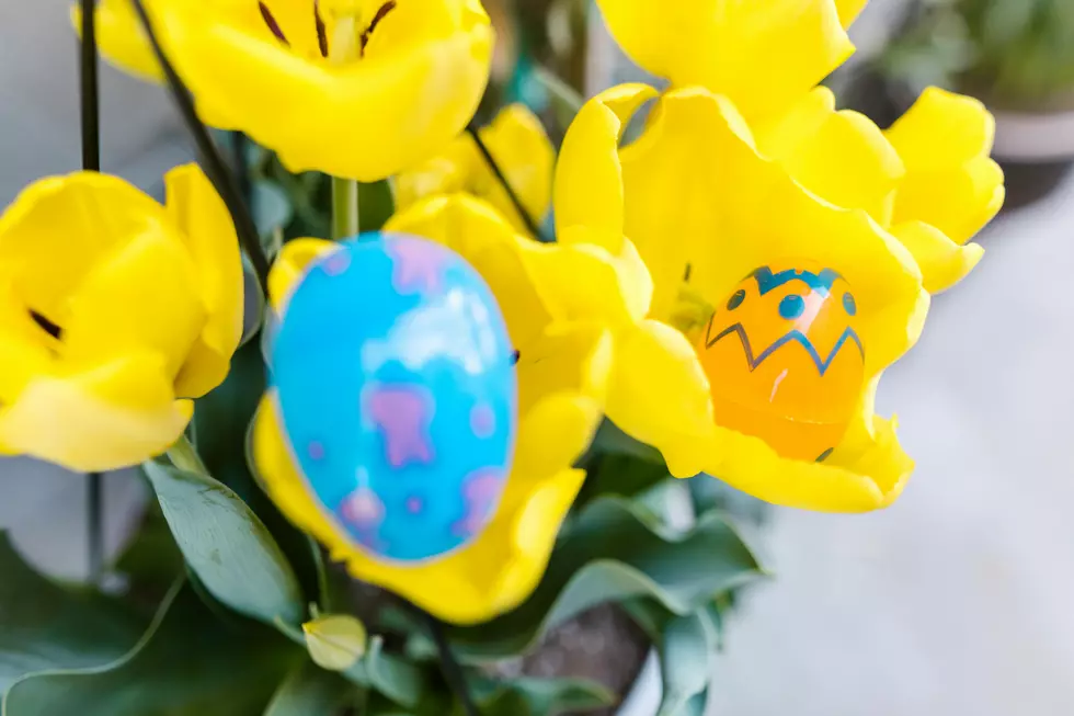How to Plan an Epic Adult Easter Egg Hunt in South Jersey