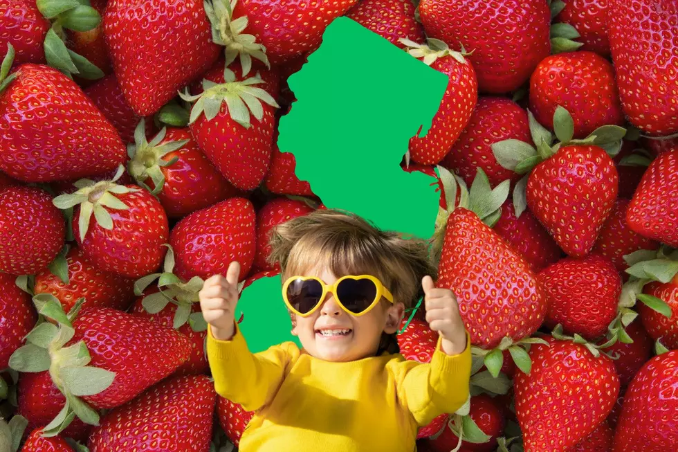 All the 2024 Strawberry Festivals Happening in New Jersey