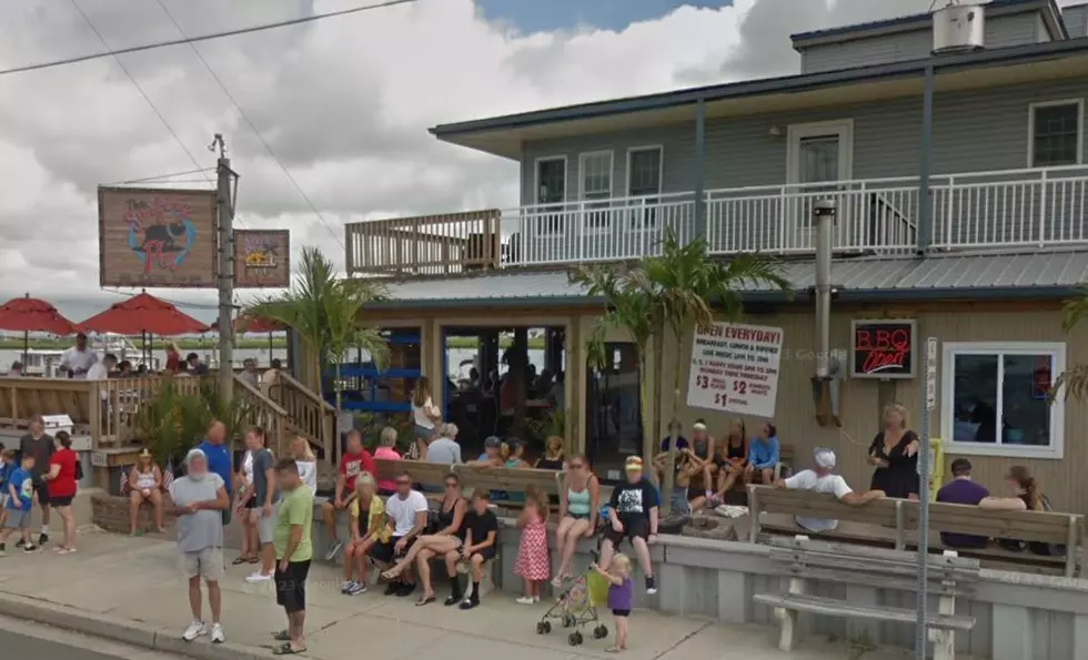 The Surfing Pig North Wildwood NJ